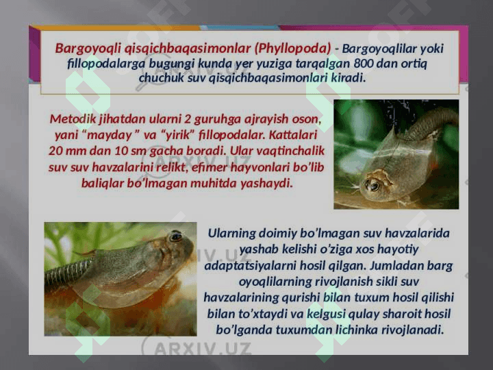 BO‘QIMOYOQLILARNING KENG TARQALISH SABABLARI 6
