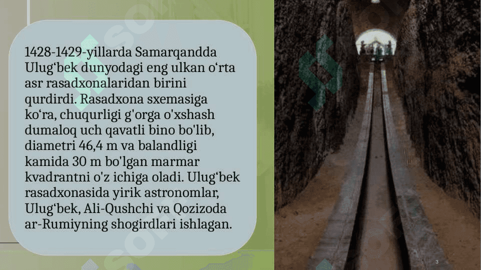 Ulug'bek rasadxonasi 3