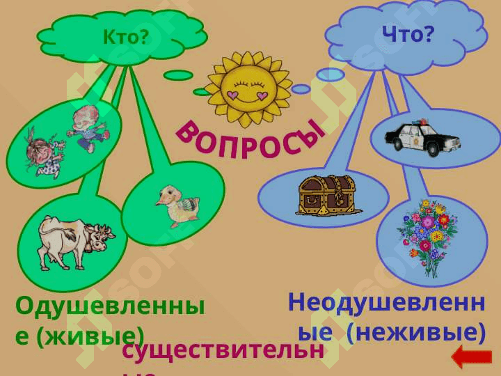 Имя существительное 4