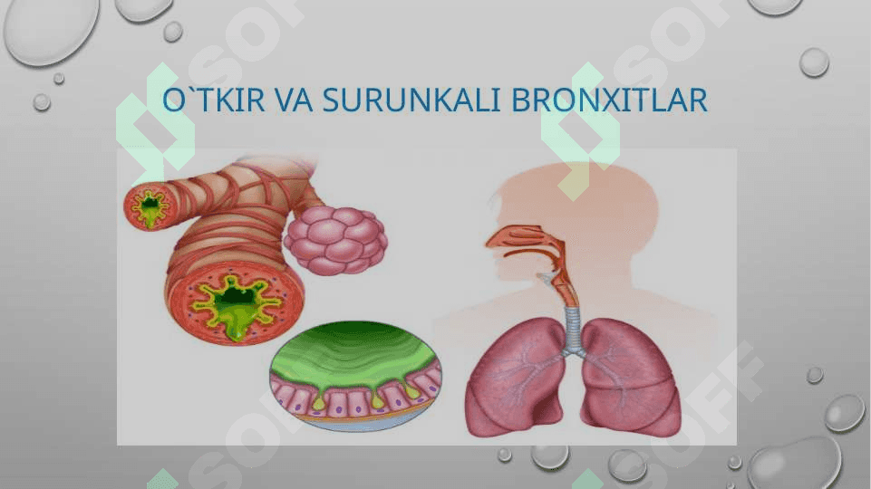O`tkir va surunkali bronxitlar 2