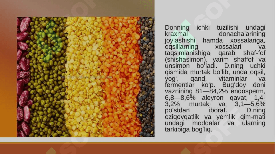Don va donli mahsulot xom ashyolarining fizik kimyoviy xossalari 4