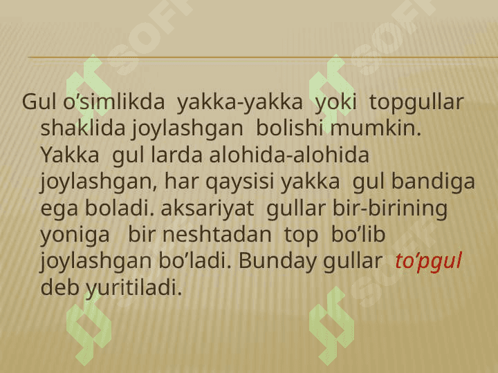 Oddiy va murakkab to’pgullar 3