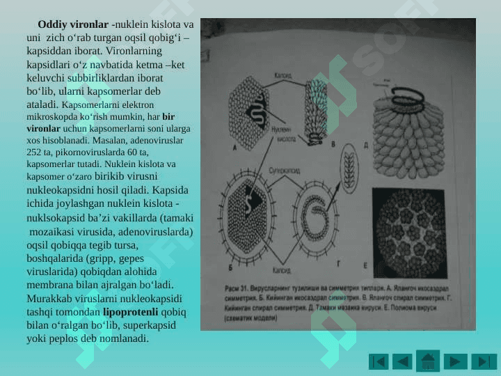 Virusalogiyada qo’llaniladigan zamonaviy diagnostika usullari 6