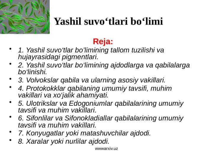 Yashil suvo‘tlari bo‘limi 1