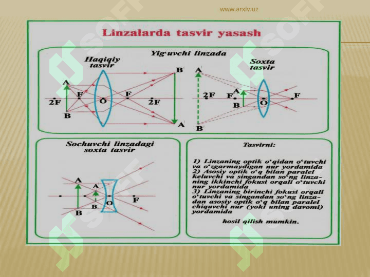 LINZALAR 8