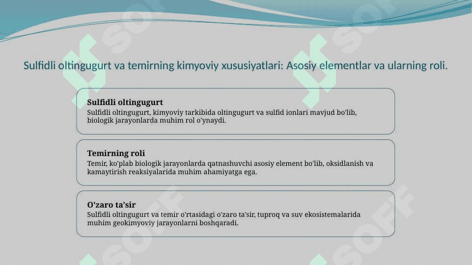 Sulfidli  oltingugurt va temirni biokimyoviy oksidlanish mehanizmi 3