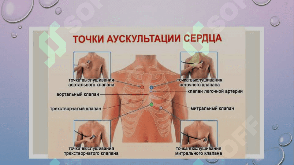 yurak AuskultatsiyasiАУСКУЛЬТАЦИЯ СЕРДЦА 6