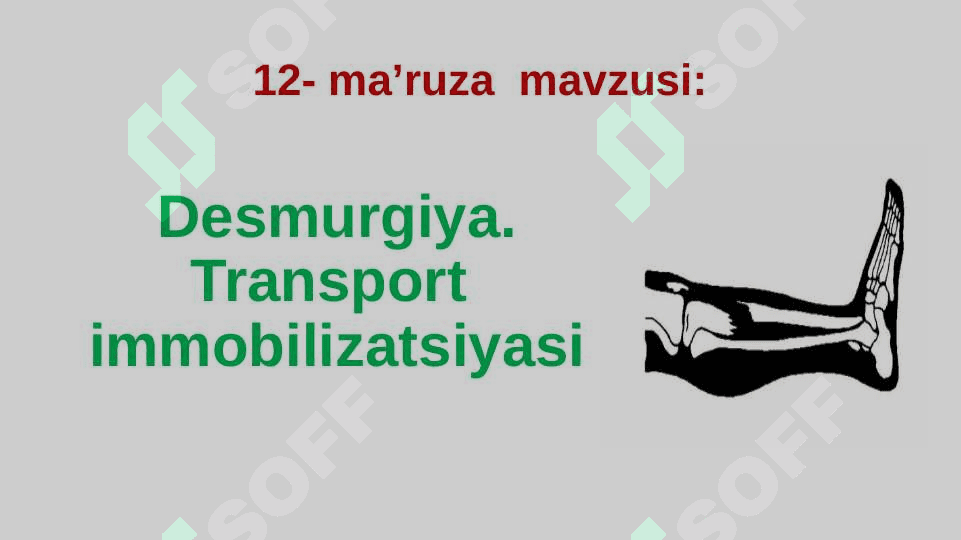 Desmurgiya. Transport  immobilizatsiyasi 2