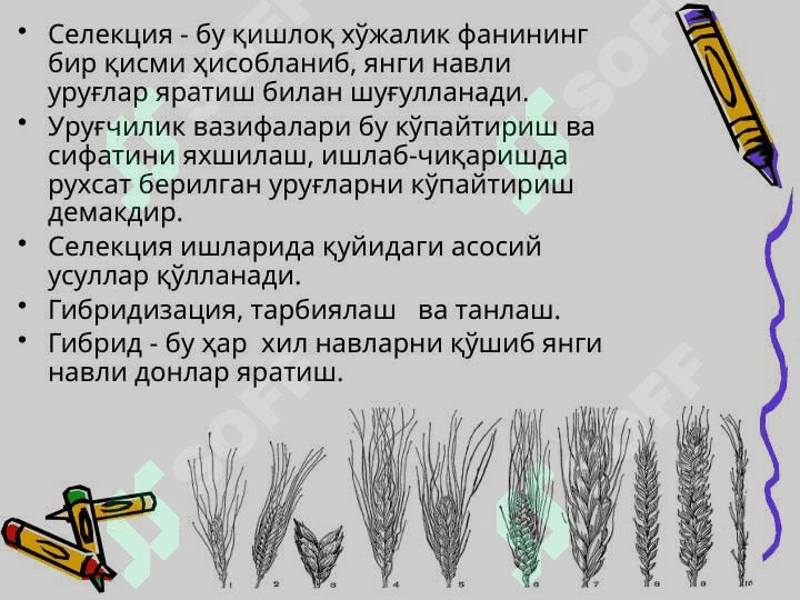 Селекция ва уруғчилик асослари 2