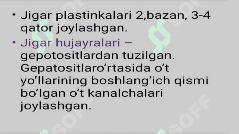 Jigarning regulyator va kompensator hususiyati Jigarning presinusoidal bo'shliqlari hujayralarining morfofunksional xususiyatlari 5