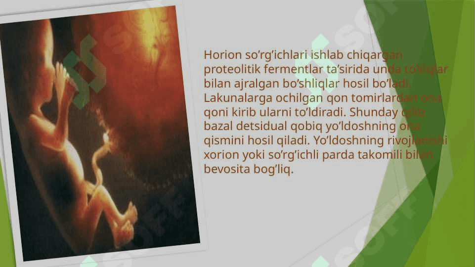 Yo'ldoshning rivojlanishi . Yo'ldoshning shakllanishida horionning ahamiyati . Gemato - platsentar to'siqning tuzilishi va ahamiyati . Kindik tizimchasining rivojlanishi , tuzilishi va vazifalari . Ona – homila tizimi 3