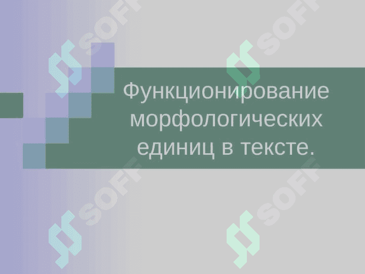 Функционирование морфологических единиц в тексте 2