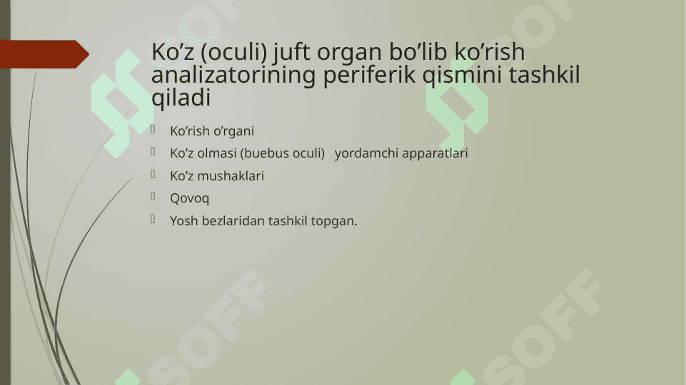 Ko’ruv a’zolari 2