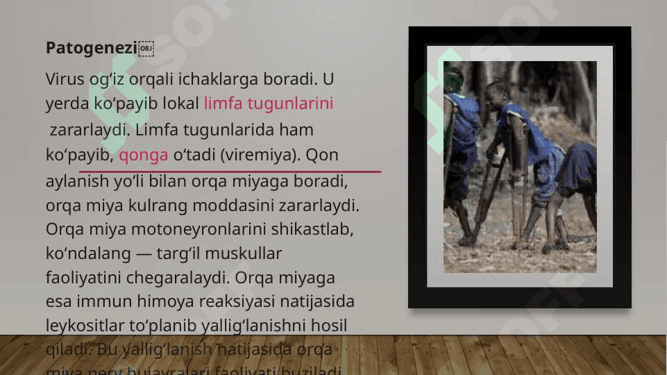 Poliomiyelit (shol),  KOKSAKI, ECHO, Gepatit A  viruslarini virusologik aniqlash usullari. 5
