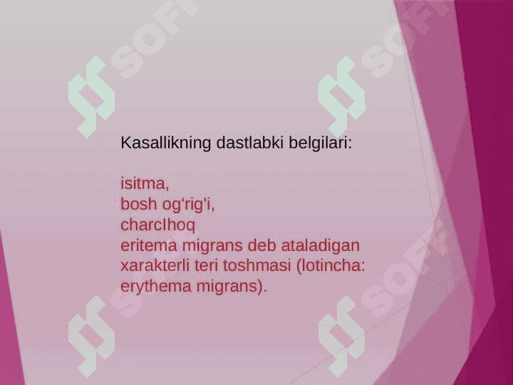 Borrelioz 3