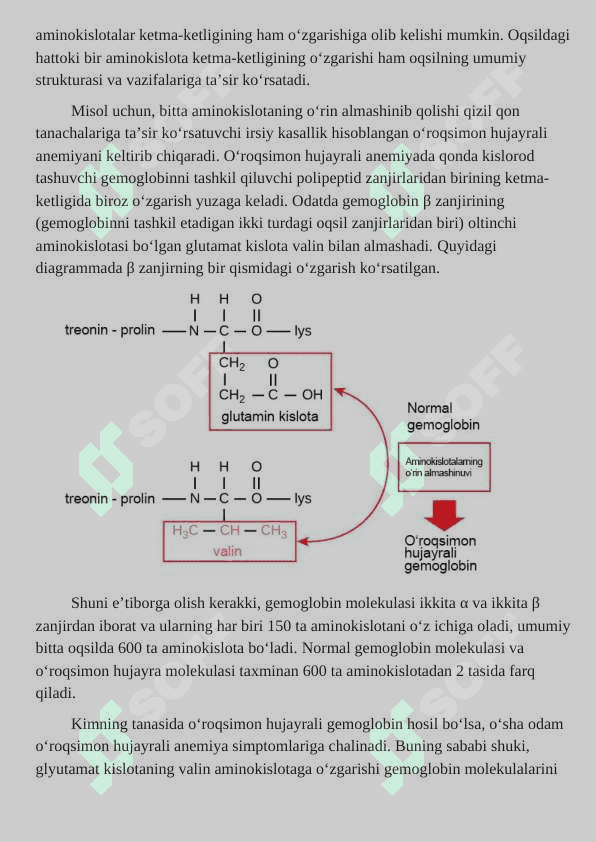 🧬 Oqsillar: Tarkibi, Tuzilishi, Turlari va Xossalari - 1-Kurs Talabalari uchun To'liq Mustaqil Ish Qo'llanmasi | Biokimyo 2