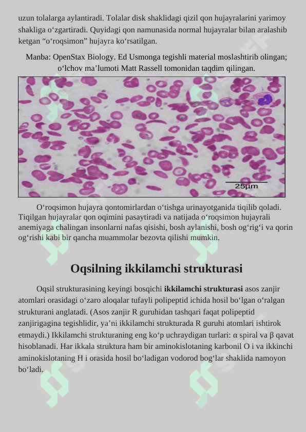 🧬 Oqsillar: Tarkibi, Tuzilishi, Turlari va Xossalari - 1-Kurs Talabalari uchun To'liq Mustaqil Ish Qo'llanmasi | Biokimyo 3
