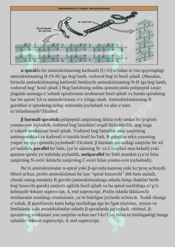 🧬 Oqsillar: Tarkibi, Tuzilishi, Turlari va Xossalari - 1-Kurs Talabalari uchun To'liq Mustaqil Ish Qo'llanmasi | Biokimyo 4