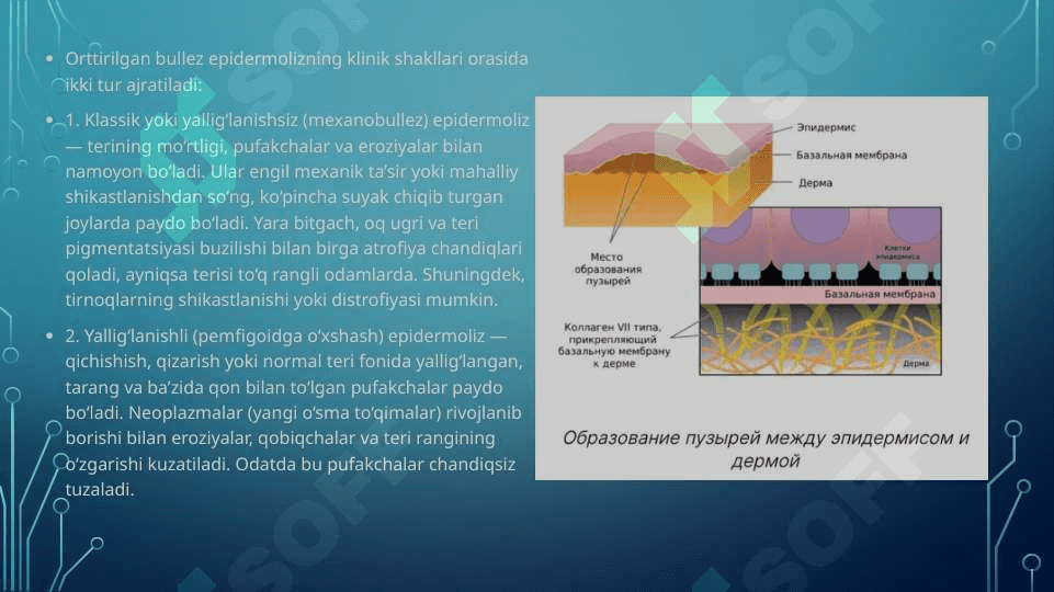 Bullyoz epidermoliz. Xeyli-Xeyli kasalligi. Chuqur mikozlar 6