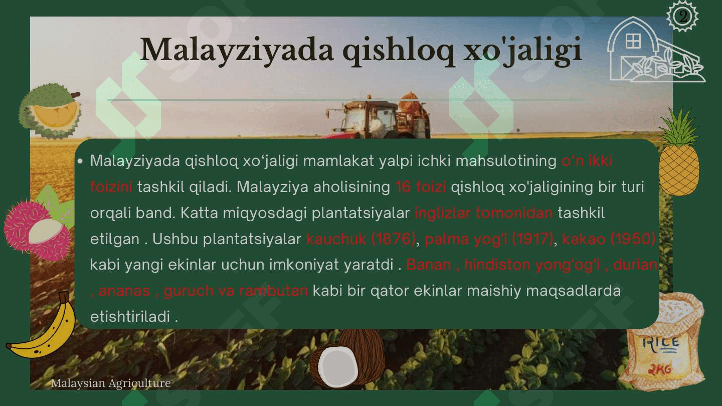 "Malayziya Qishloq Xo'jaligi: Rivojlanishi, Tarmoqlari va Oʻzbekistonga Qiyosiy Tahlil" - 1-Kurs Qishloq Xoʻjaligi Talabalari uchun Mustaqil Ish 2
