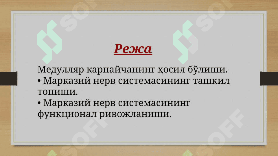 Асаб системасининг онтогенези 2