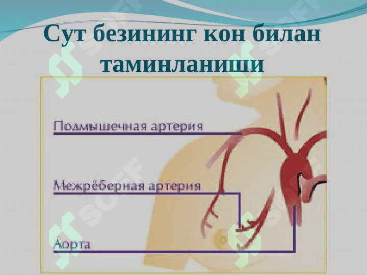 Сут бези  саратони 4