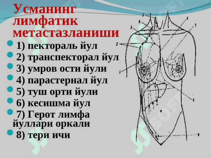 Сут бези  саратони 7