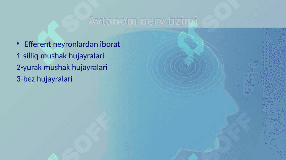 Vegetativ nerv tizimi 4