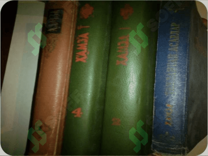 Hamza Hakimzoda Niyoiy 4
