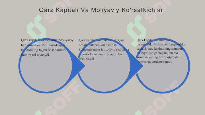 Qarz kapitali 6