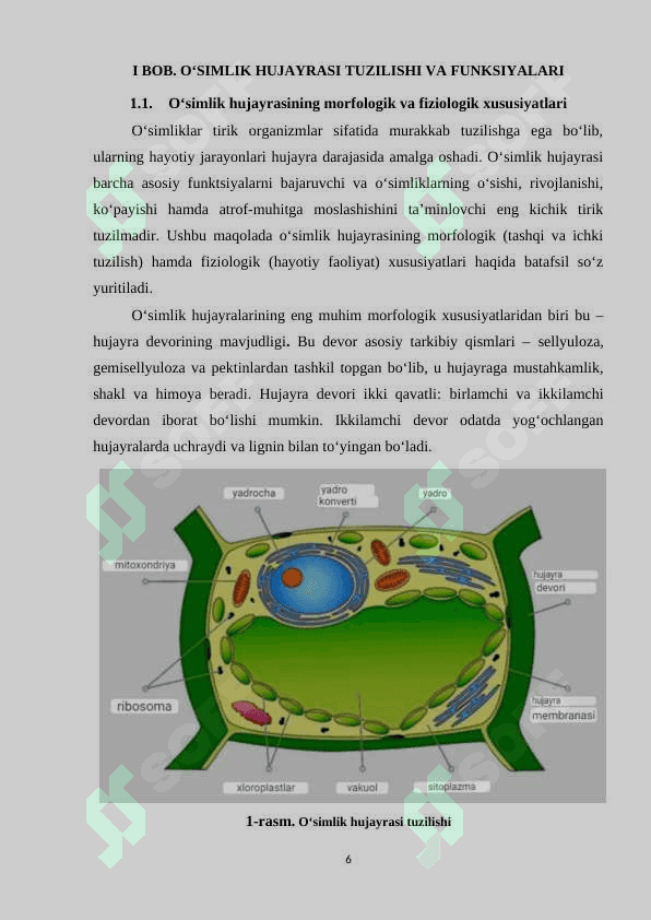 Oʻsimlik va hayvon hujayrasining oʻziga xos xususiyatlari 6