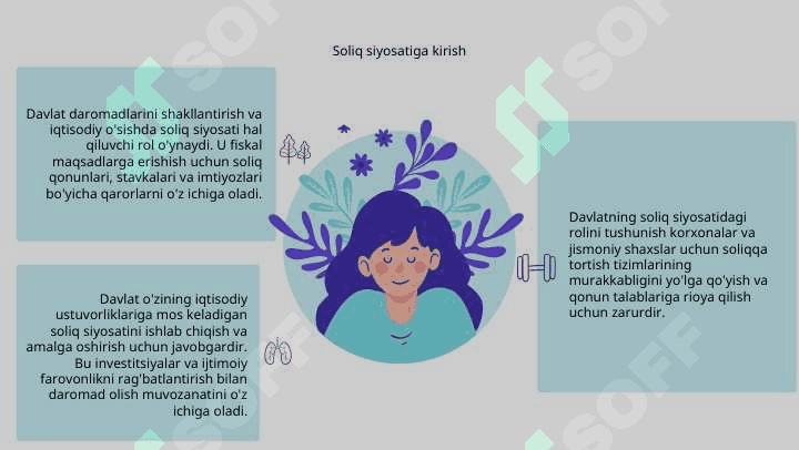 Soliq siyosatini ishlab chiqish va uni amalga oshirishda davlatning roli 3