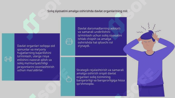 Soliq siyosatini ishlab chiqish va uni amalga oshirishda davlatning roli 6