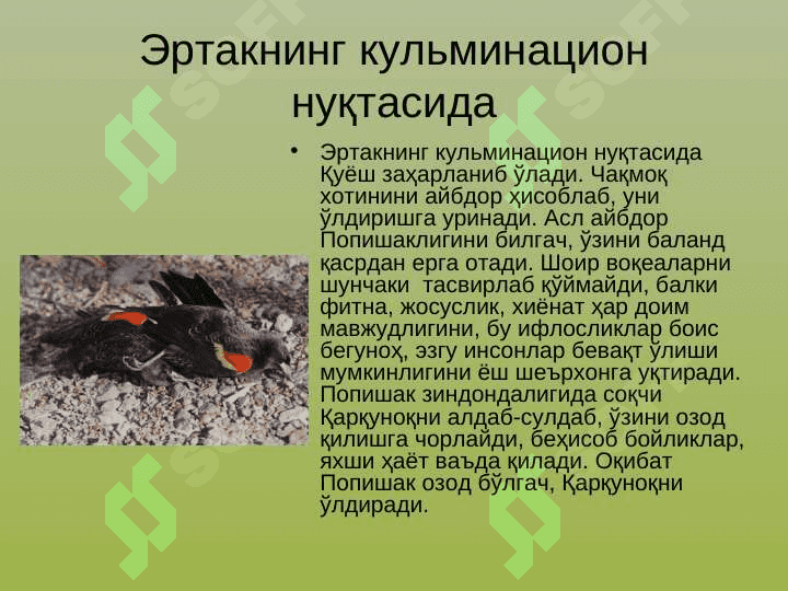 Анвар Обиджон шеъриятида жанр стилизацияси 8