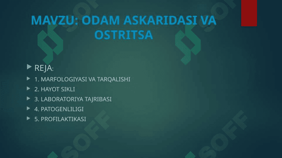 Odam askaridasi va ostritsa 2