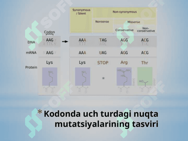 DNK mutatsiya,shikastlanishi va reparasiya 3