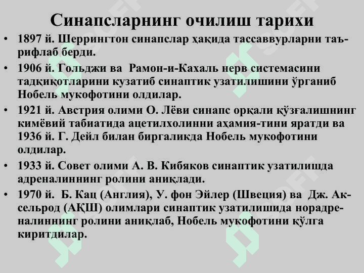 Синапс ва синаптик жараёнлар 6