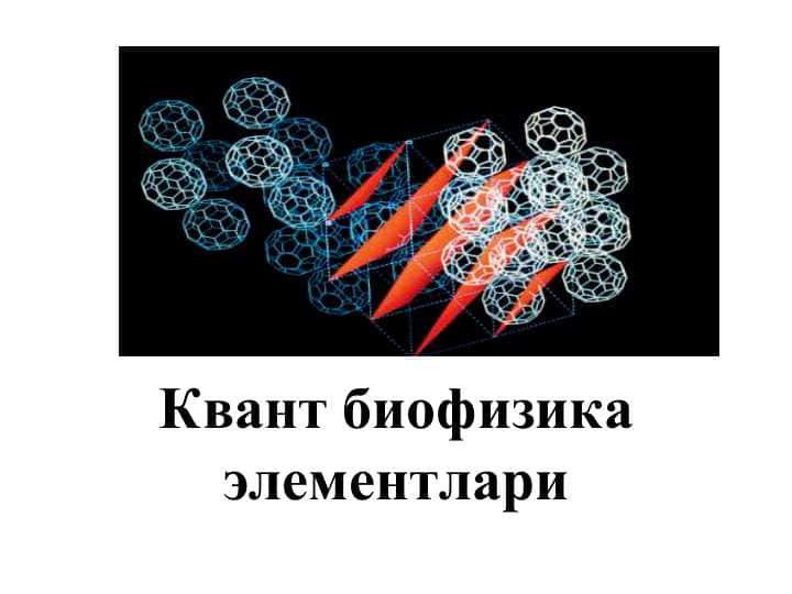 Квант биофизика элементлари