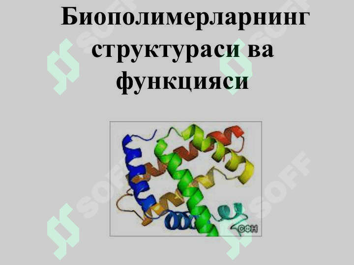 Молекуляр биофизика асослари 6