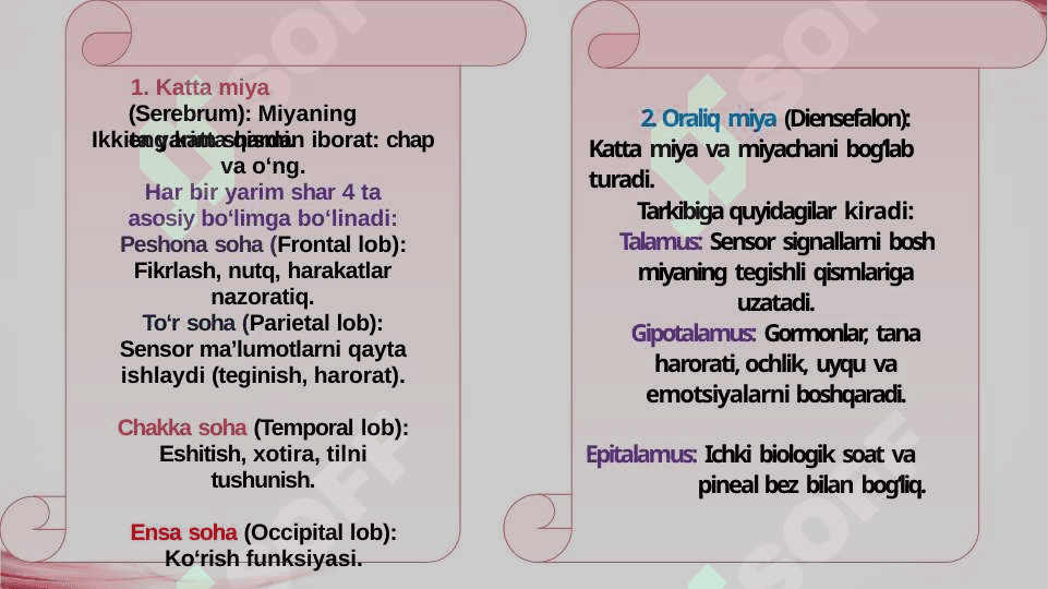 Miya va uning tuzilishi. Miya kasalliklari 6