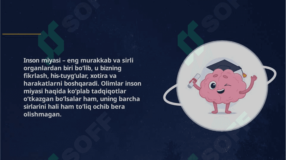 Inson miyasi haqidagi 10 hayratlanarli fakt 2