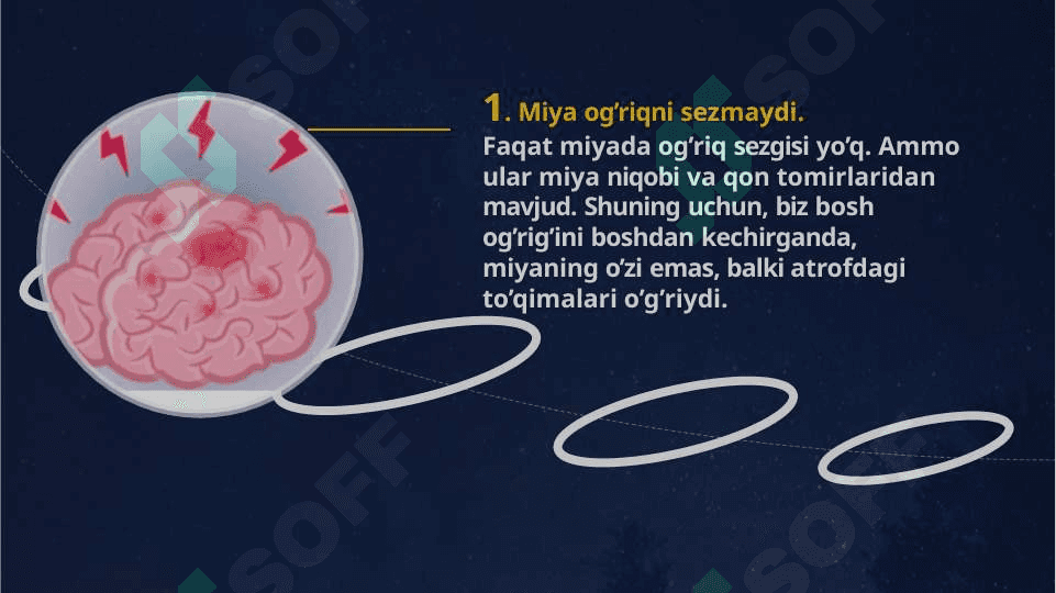 Inson miyasi haqidagi 10 hayratlanarli fakt 3