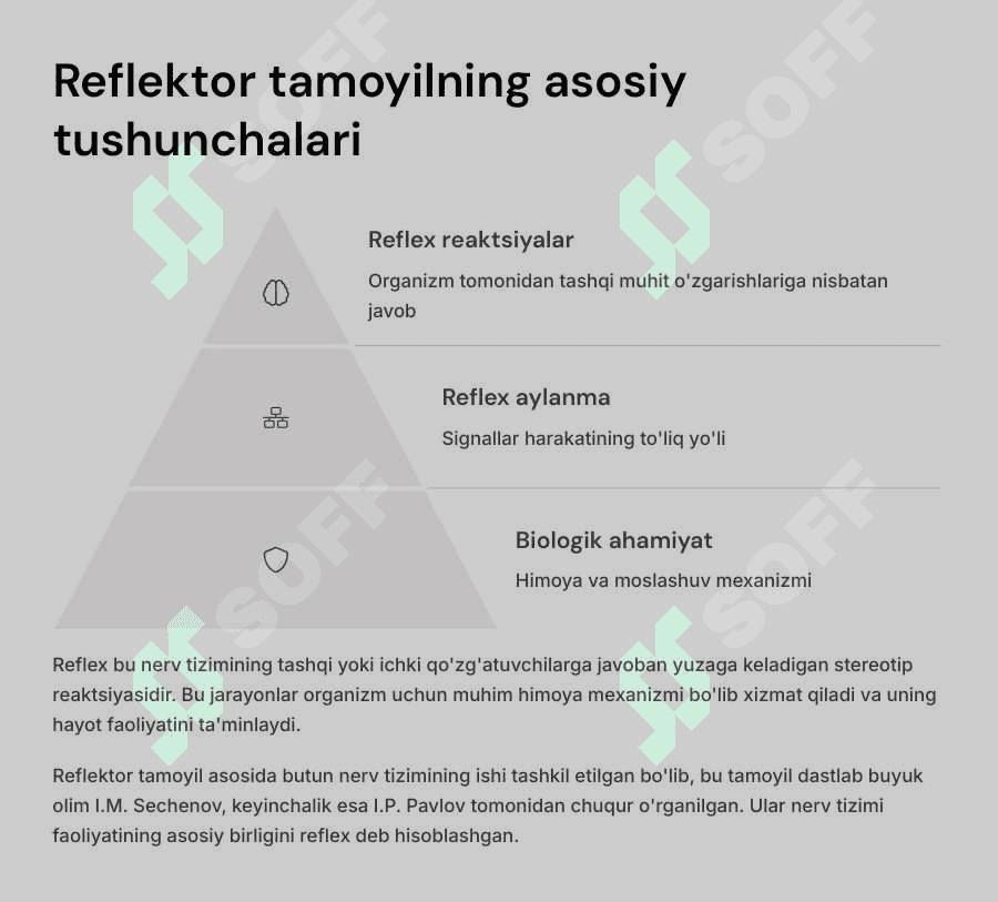 Asab markazlari. Markaziy nerv tizimining reflector tamoyili. Orqa miya ,uzunchoq miya va vegetativ nerv tizimi fiziologiyasi. 3