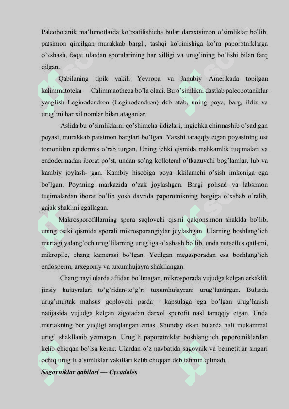 Qarag’aytoifa ya’ni ochiq urug’lilar bo’limi  — Gimnospermae 5