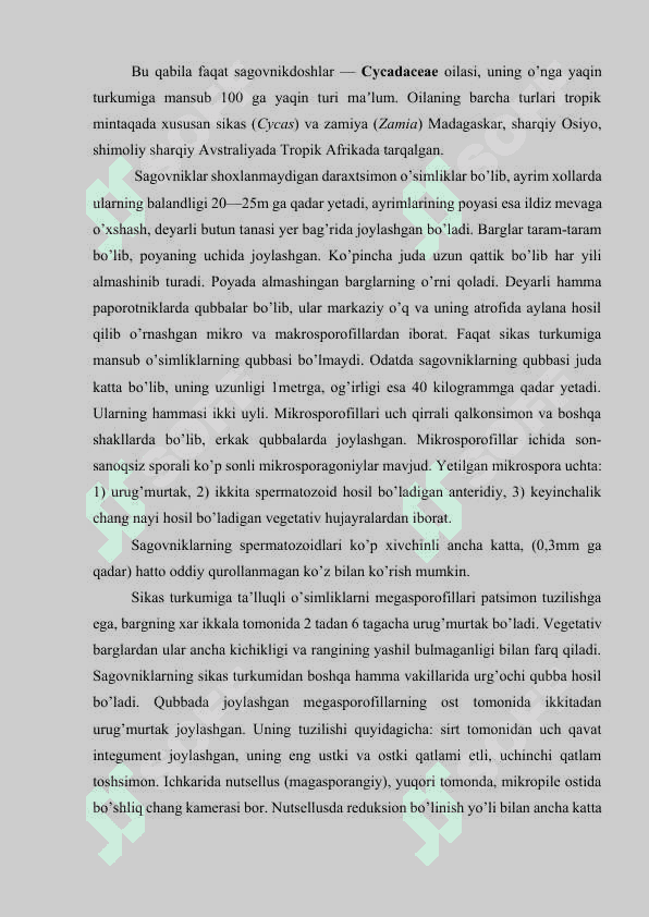 Qarag’aytoifa ya’ni ochiq urug’lilar bo’limi  — Gimnospermae 6