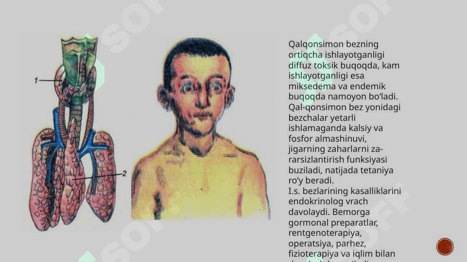 Endokrin tizimi funksiyasi va buzilishi 5