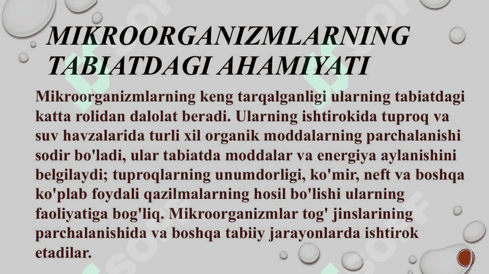 Mikroorganizmlarining qishloq xoʻjaligida va oʻsimliklarni himoya qilishda qoʻllanilishi 2