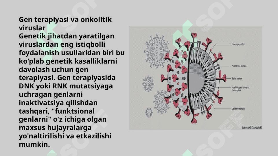 Viruslarning gen muhandisligida qoʻllanilishi 4