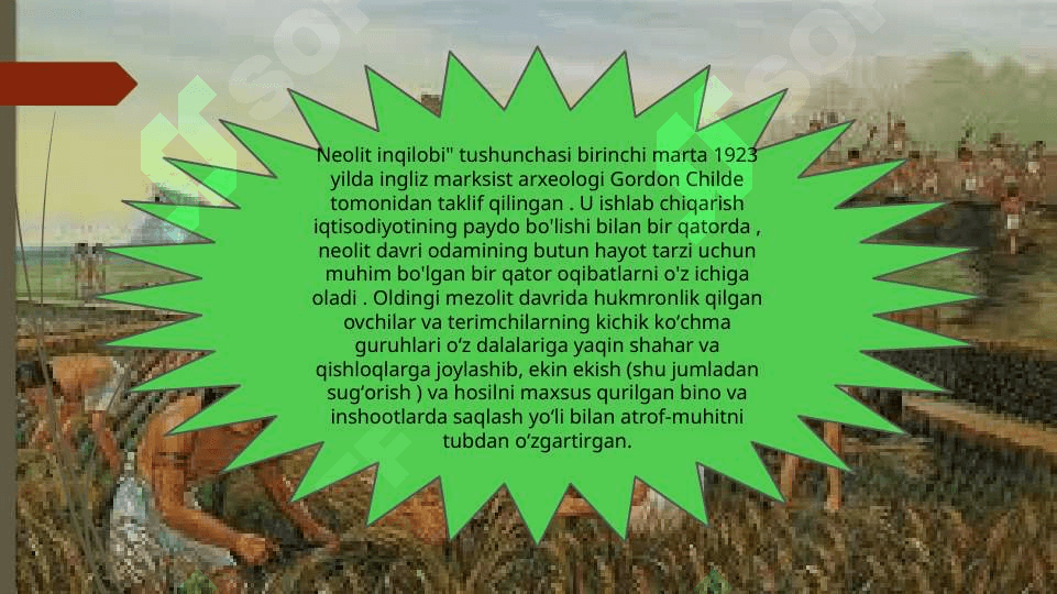 Chayldning neolit inqilobi nazariyasi va uning mohiyati 2