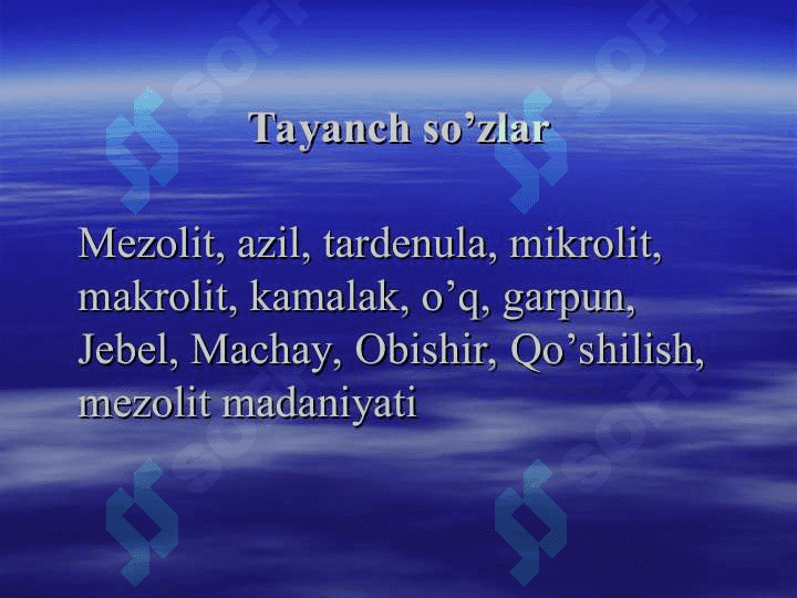 Mezolit 4